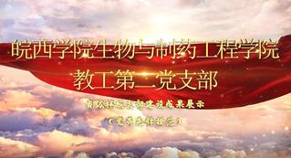 BB贝博艾弗森官方网站教工第二党支...