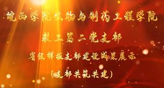 BB贝博艾弗森官方网站教工第二党支...